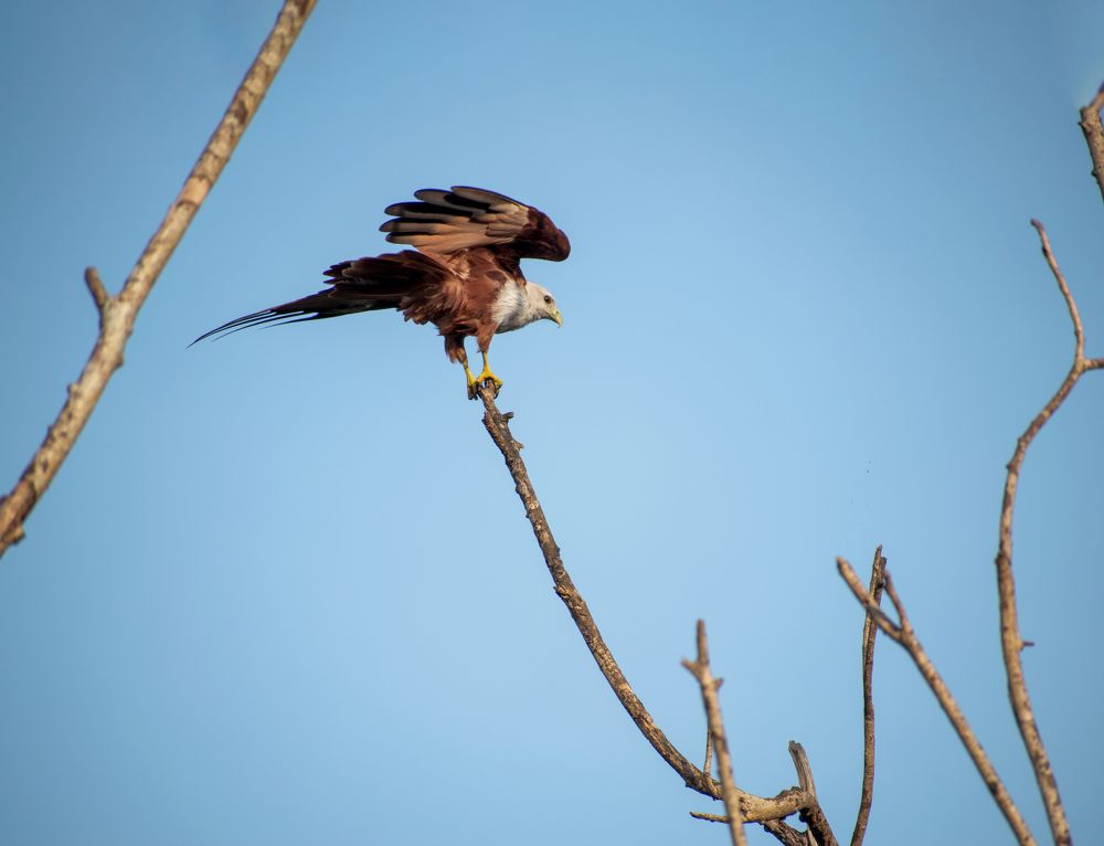 Photograph by yazeen Mohammed