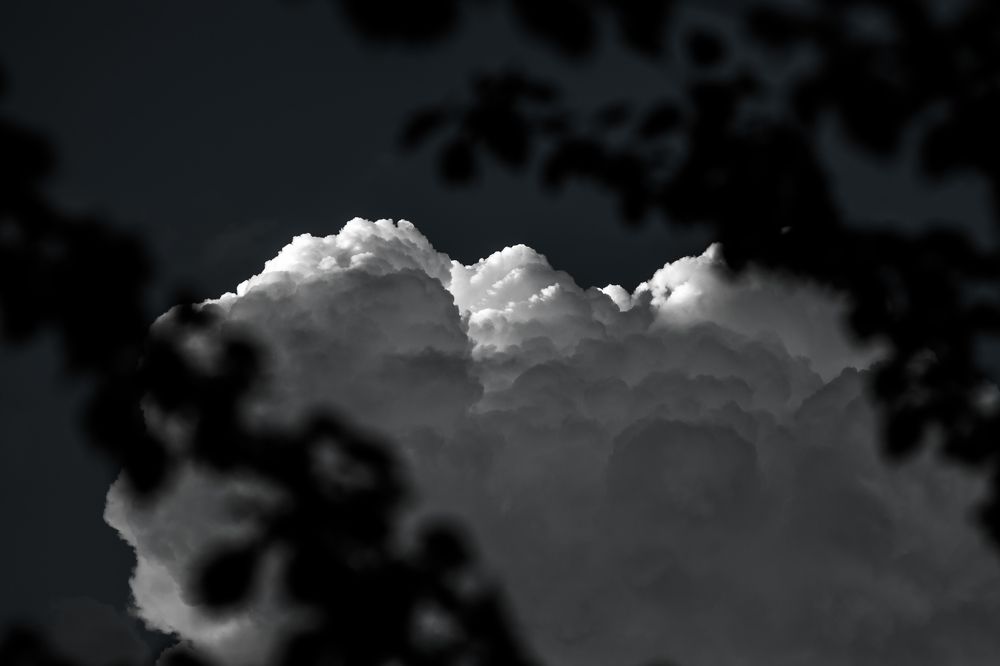 Photograph by Александр Плисик