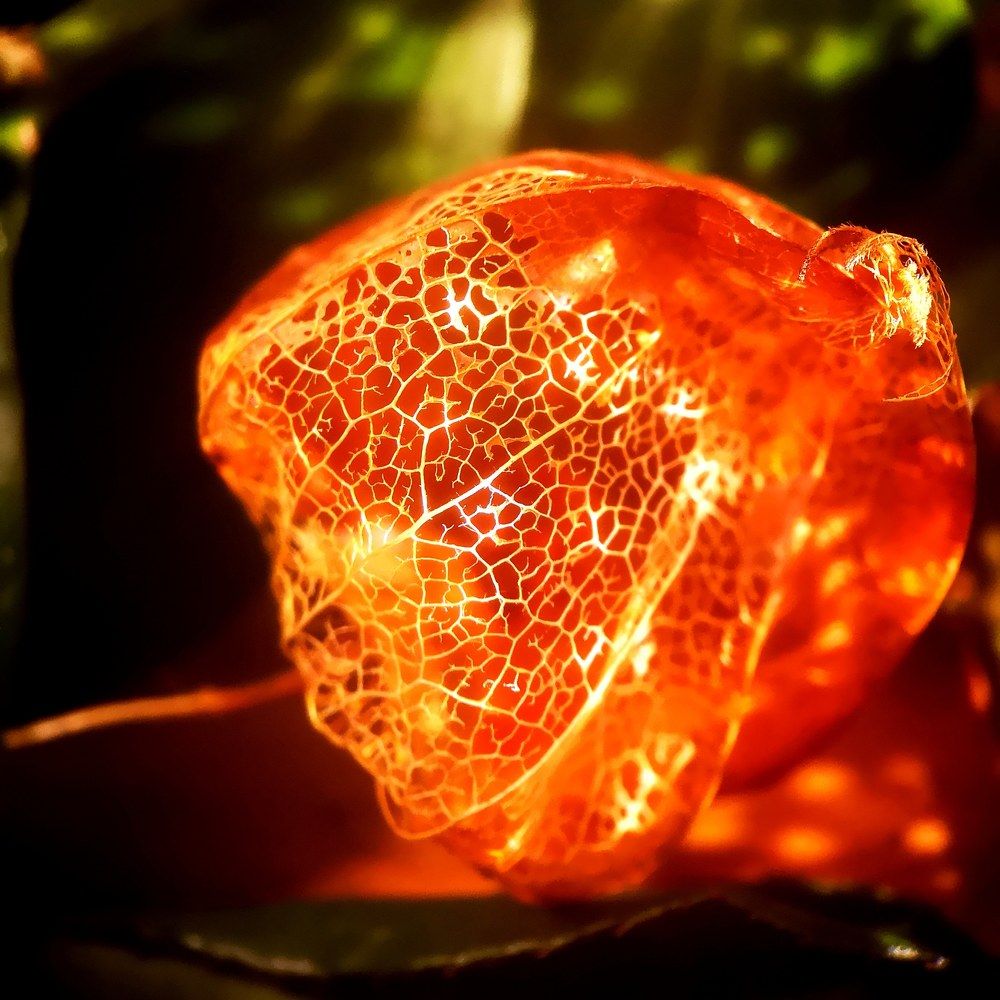 Photograph by Ольга Темкина