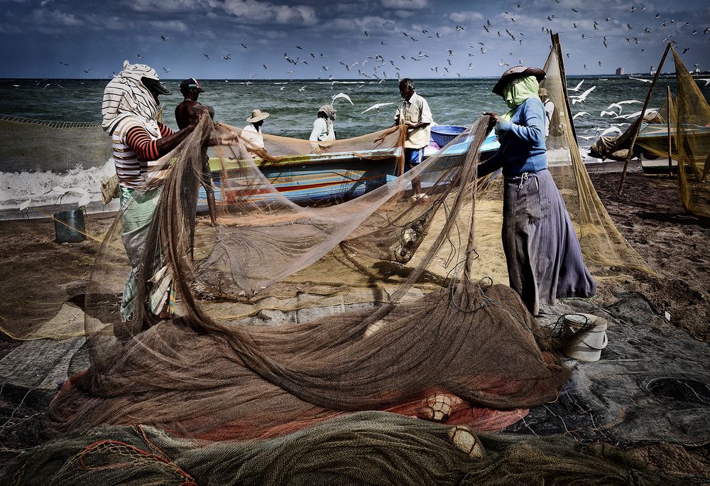 Photograph by Dinesh Perera