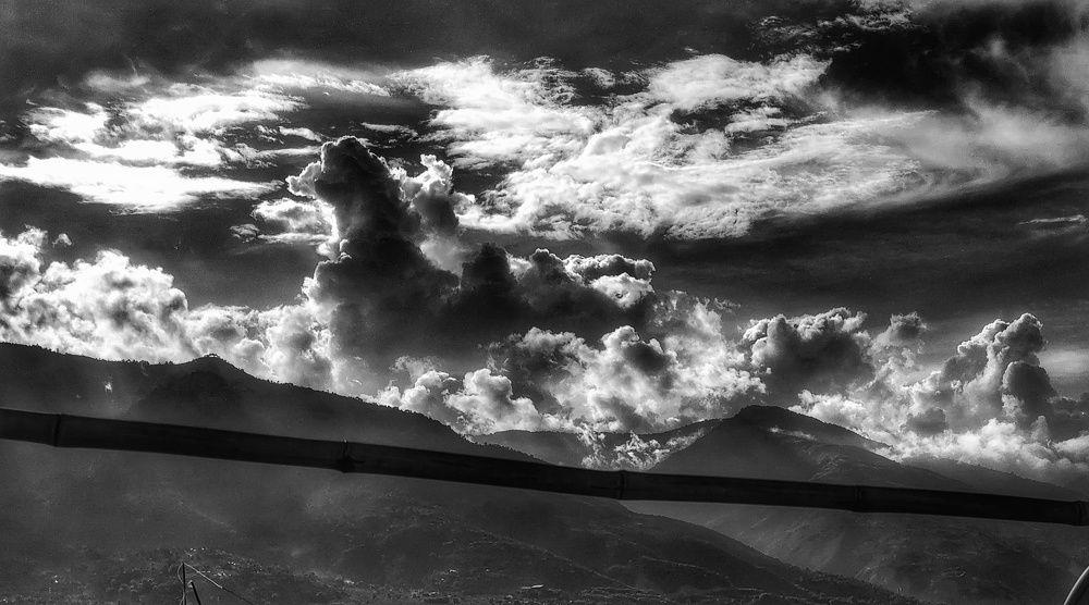 A Horse-shaped Cloud