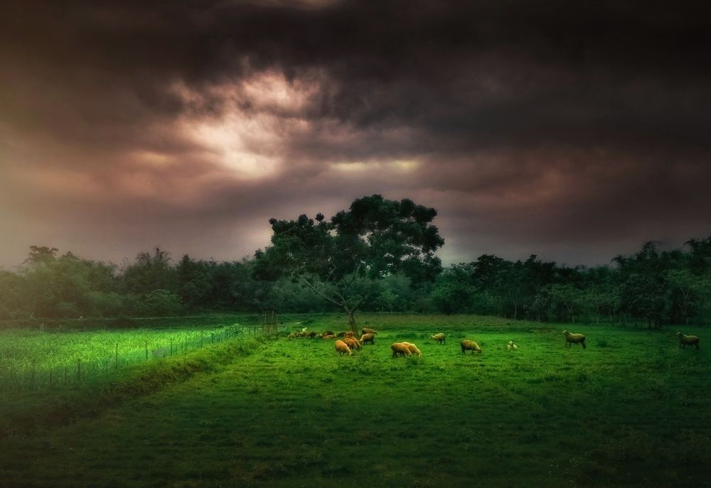Stormy evening