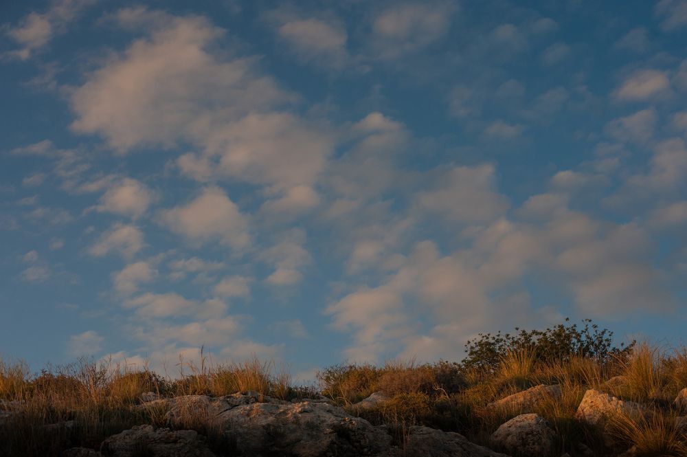 Photograph by Eugenia Shraga