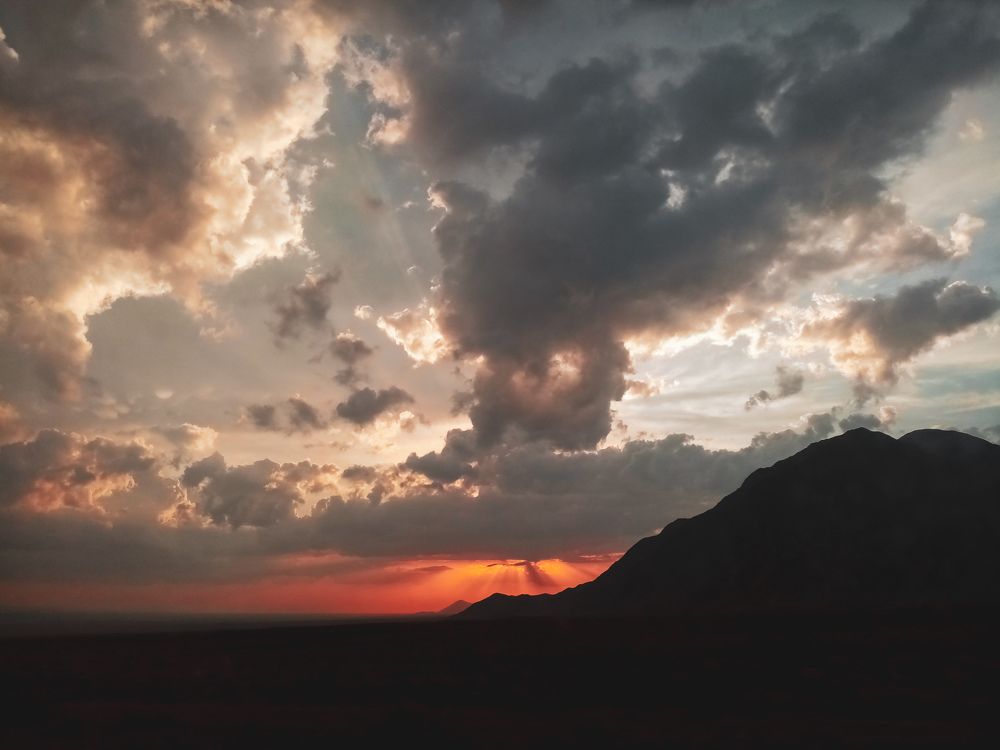 An evening in the wild