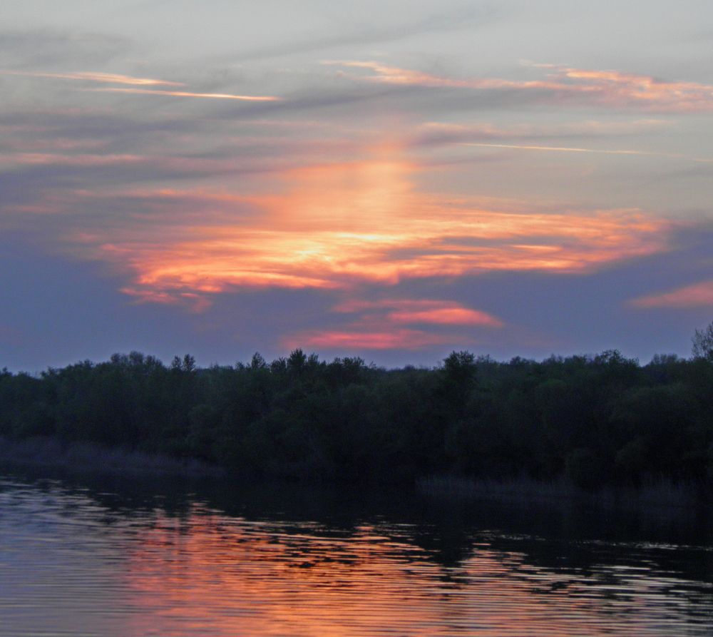 Photo #6060124