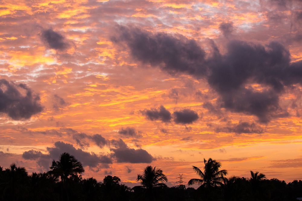 Photograph by Prasad Pavan