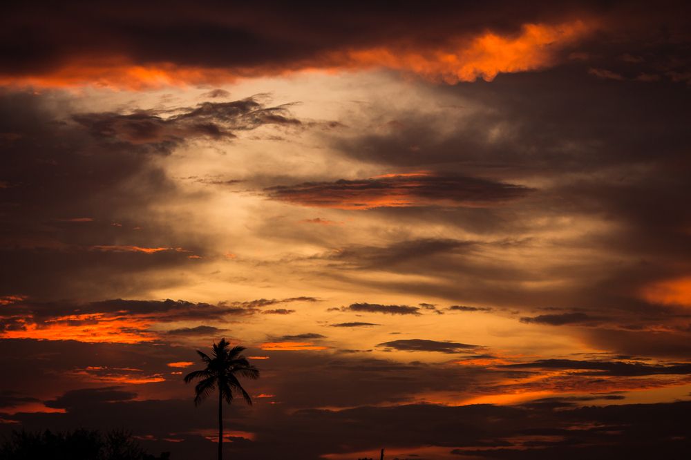 Photograph by Prasad Pavan