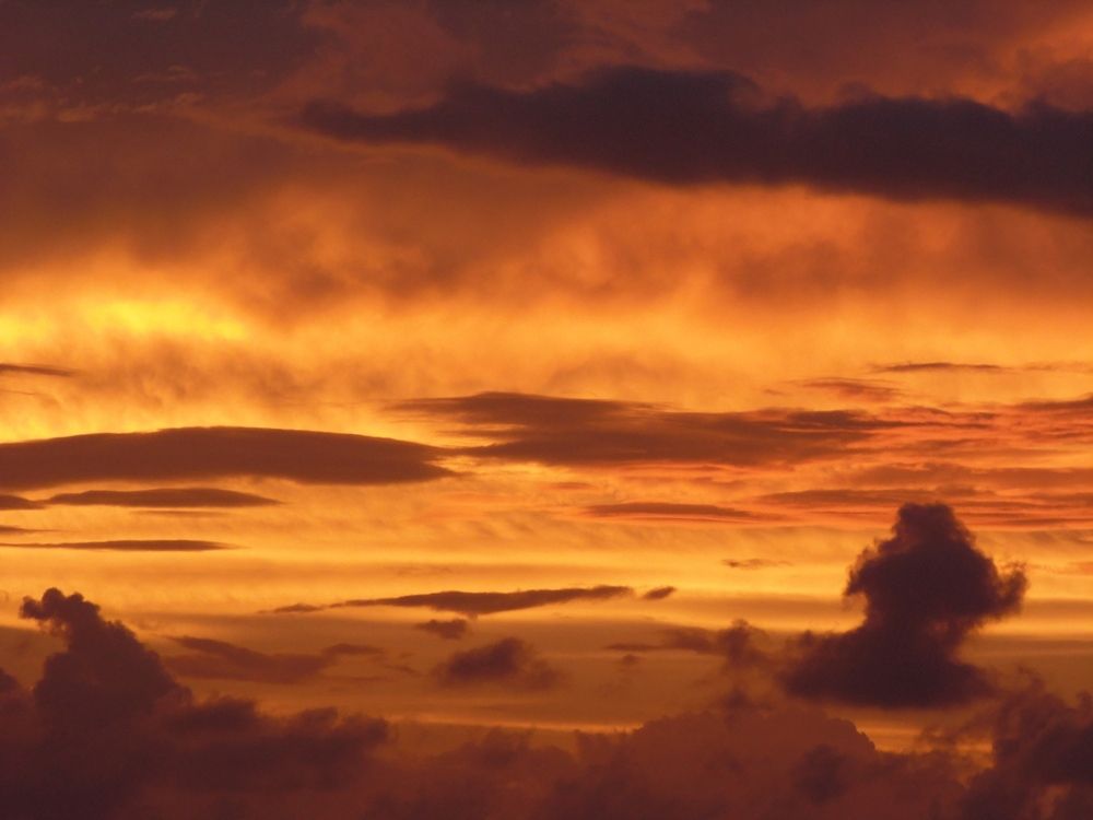 Photograph by Veronica Belli