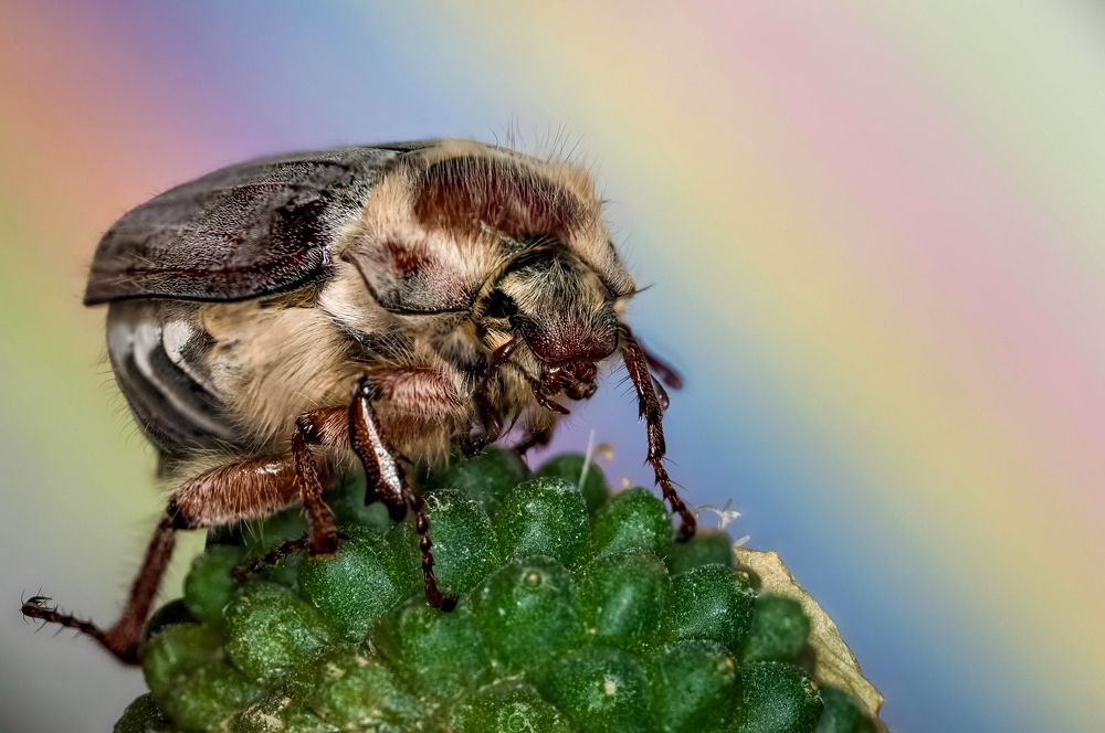 Photograph by Ясинский Юрий