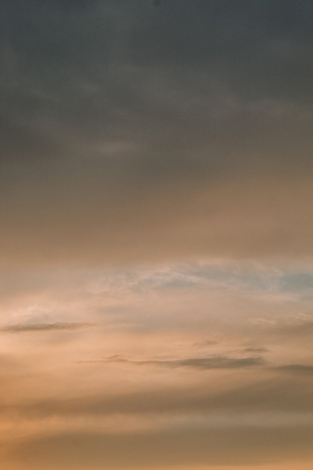 Photo #6060157