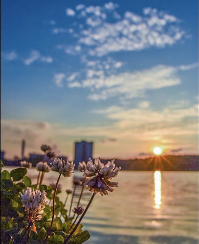 Ласковый вечер