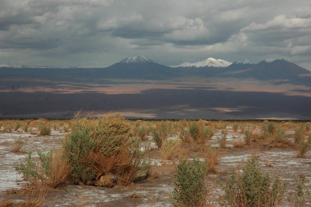 Photograph by Veronica Belli