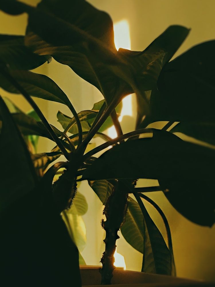 Photograph by Артур Жуков