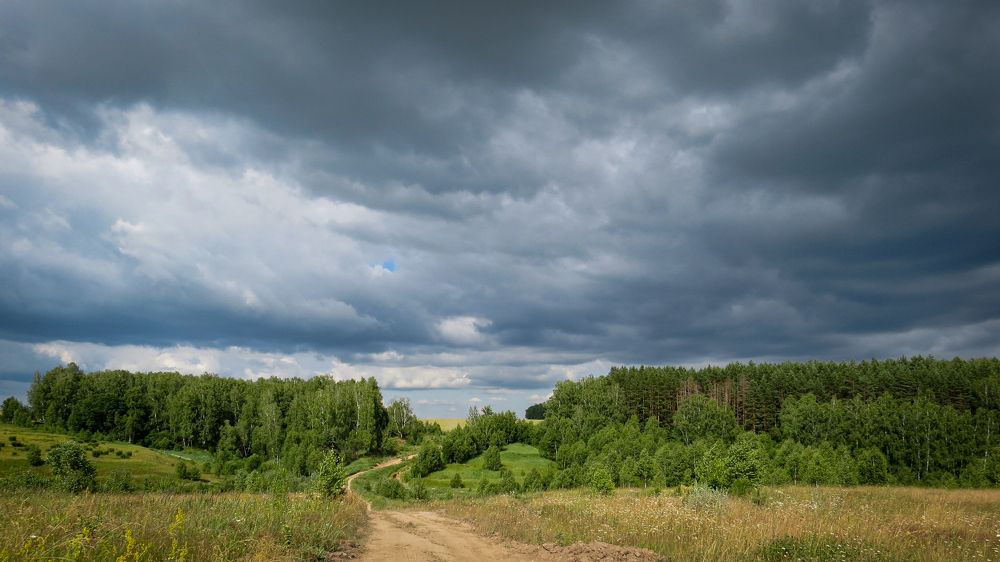 Somewhere in the fields