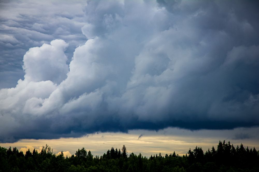 Photograph by Анастасия Бравичева