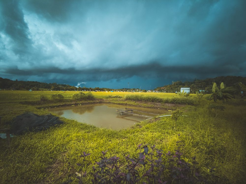 Фотография автора Anil Prabhakar