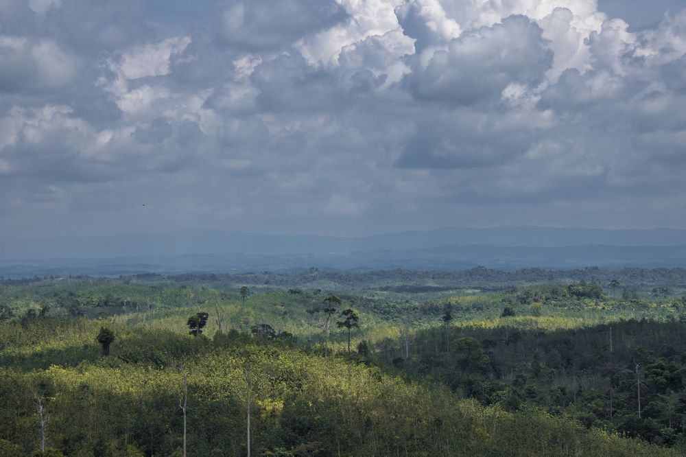 Фотография автора Anil Prabhakar