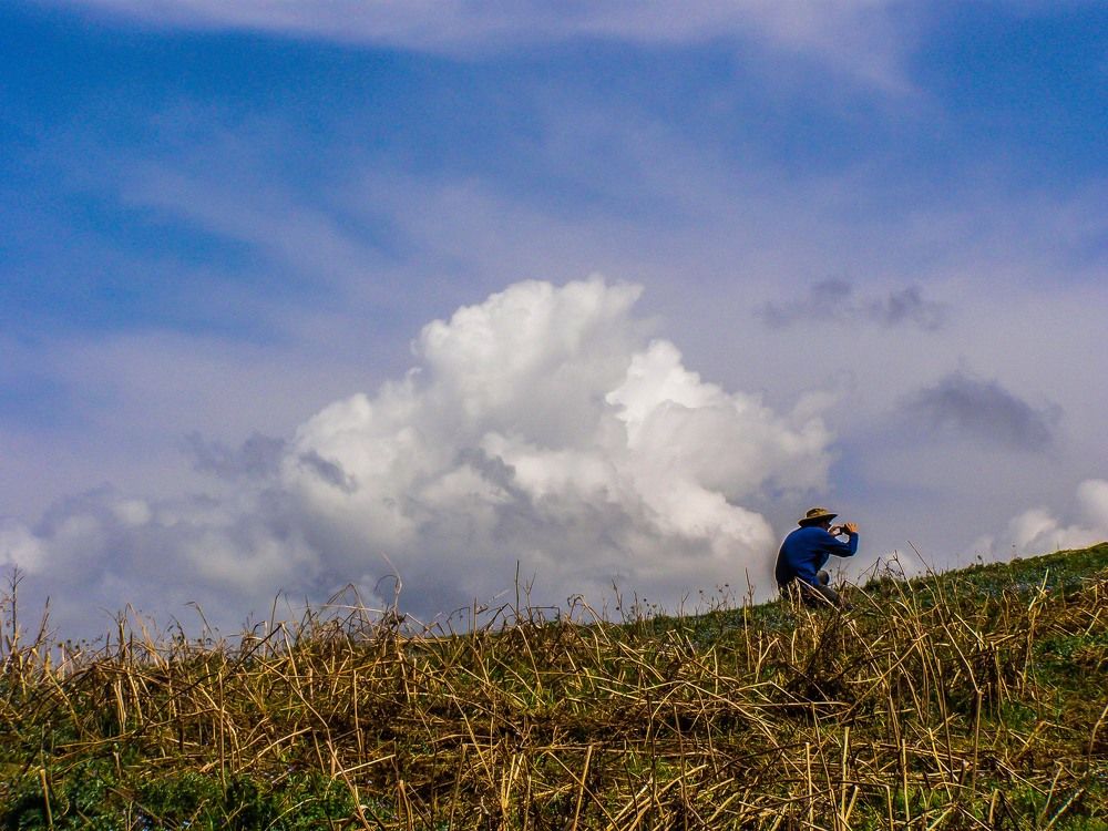 Photograph by Mozhgan Sadeghi