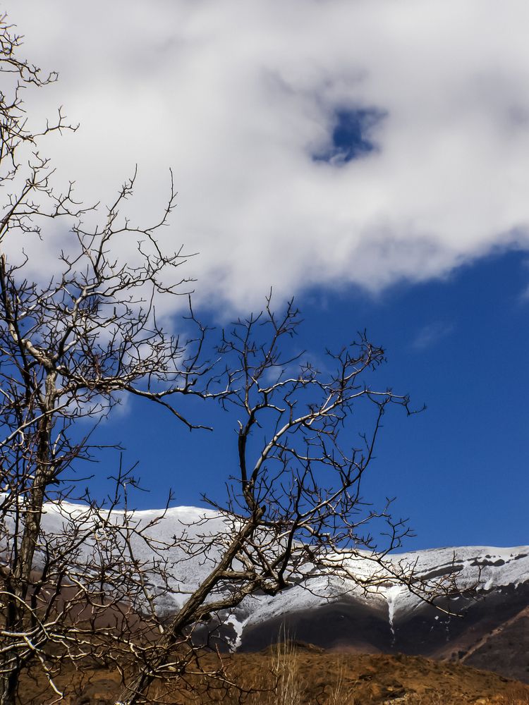 Photograph by Mozhgan Sadeghi