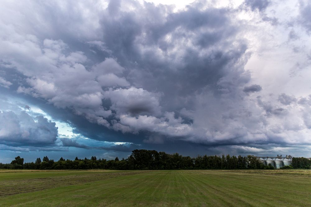 Photograph by Фирдаус Карипова