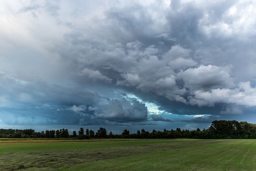 Photograph by Фирдаус Карипова