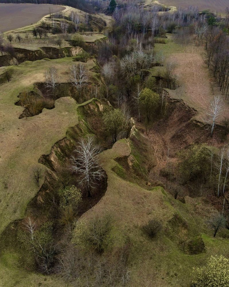 Photograph by Кирилл Тихов