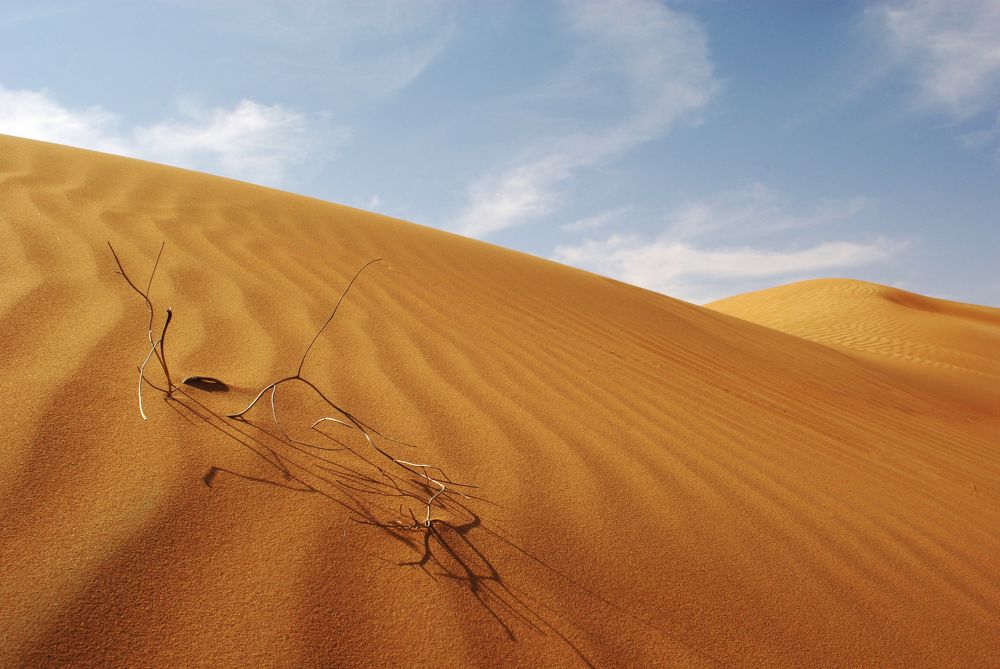 Photograph by Ludmila Stepnova