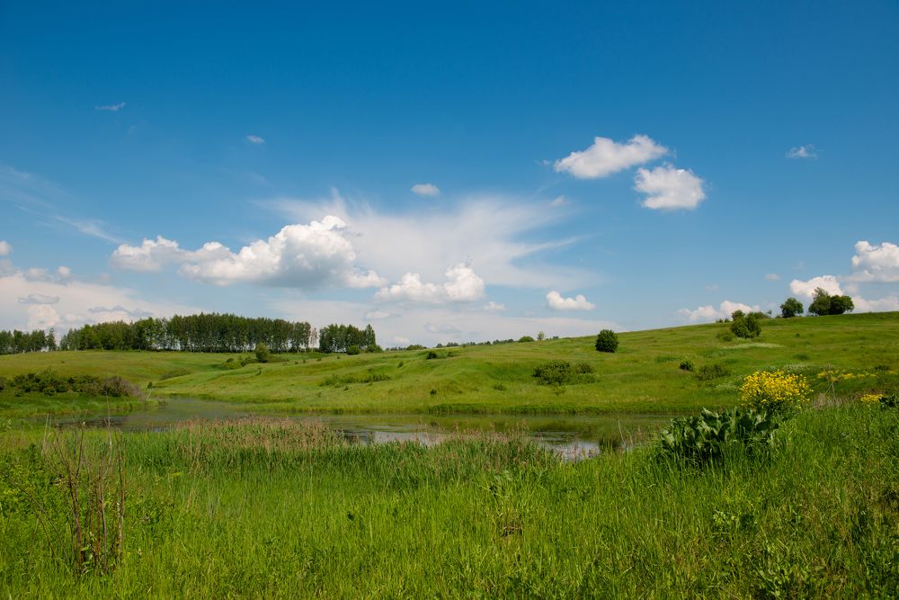 Photograph by Ludmila Stepnova