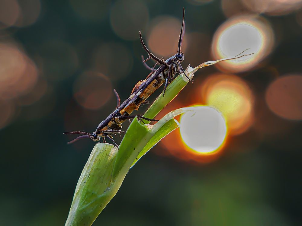 Photograph by Tinku Sardar