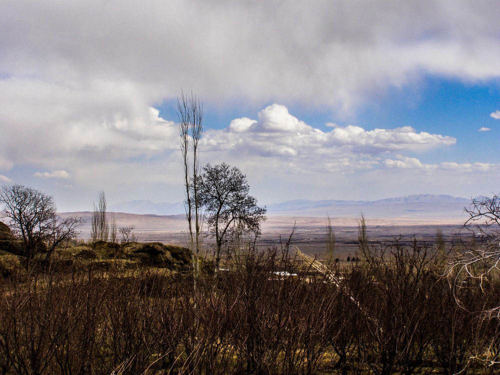 Photograph by Mozhgan Sadeghi