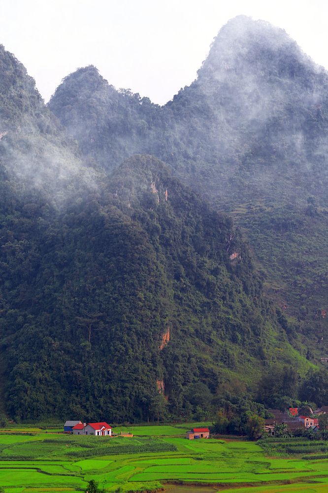 Photograph by Ngo Duy Minh Triet