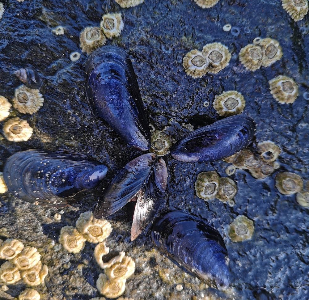 Photograph by Елена