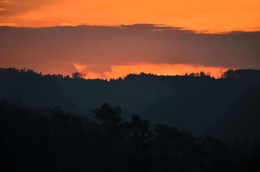 Photograph by Max Korniienko