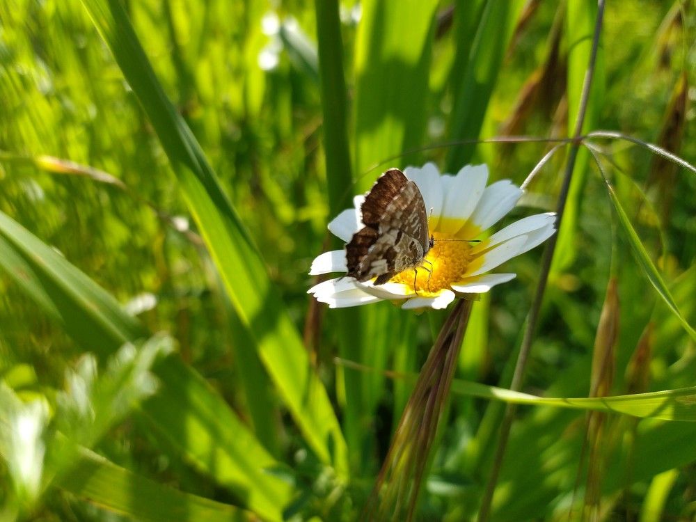 Photograph by GEORGIOS PATTAS
