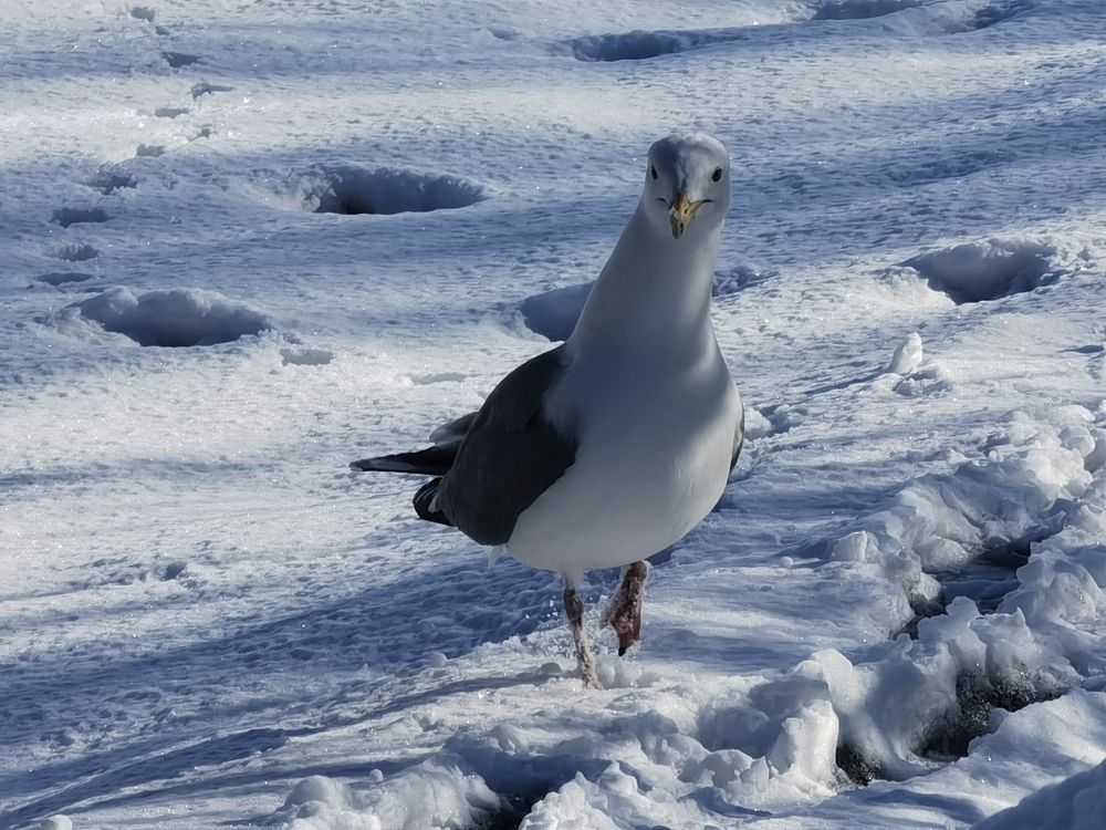 Photograph by Елена