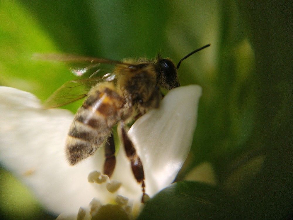 Photograph by GEORGIOS PATTAS