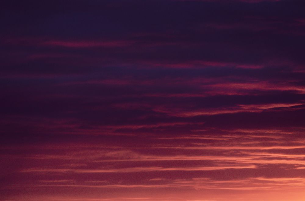 Photograph by Max Korniienko