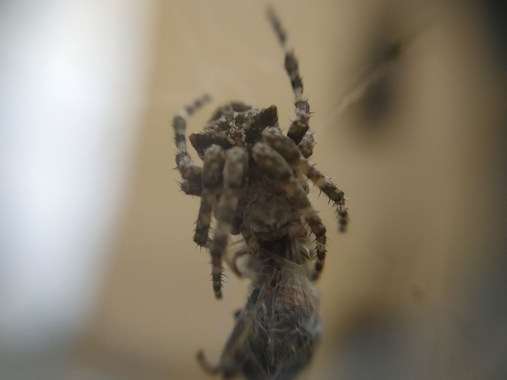 Photograph by GEORGIOS PATTAS