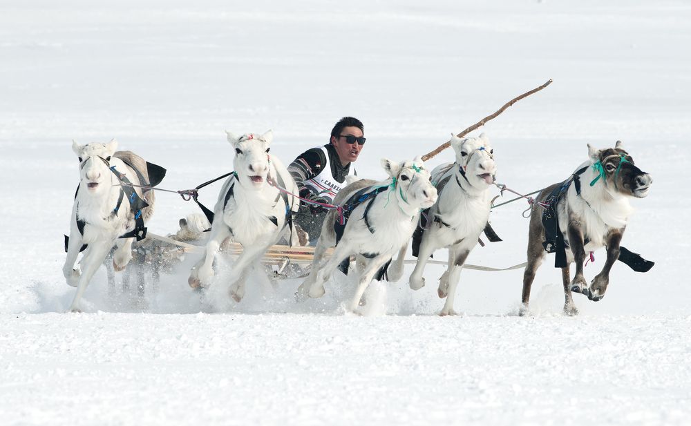 Фотография автора Станислав Казнов