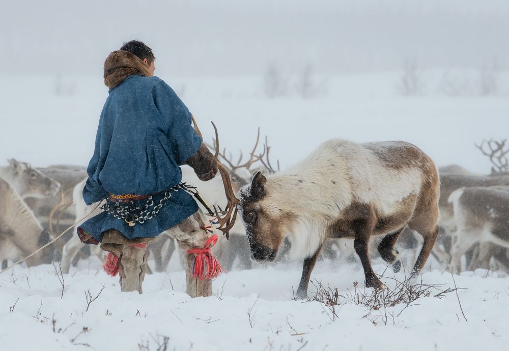 Фотография автора Станислав Казнов
