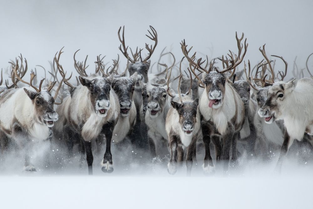 Фотография автора Станислав Казнов