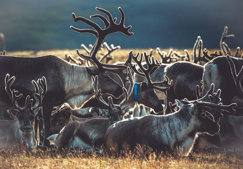 Фотография автора Станислав Казнов