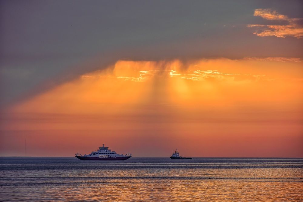 Photograph by Hasan Mahmud Shimul