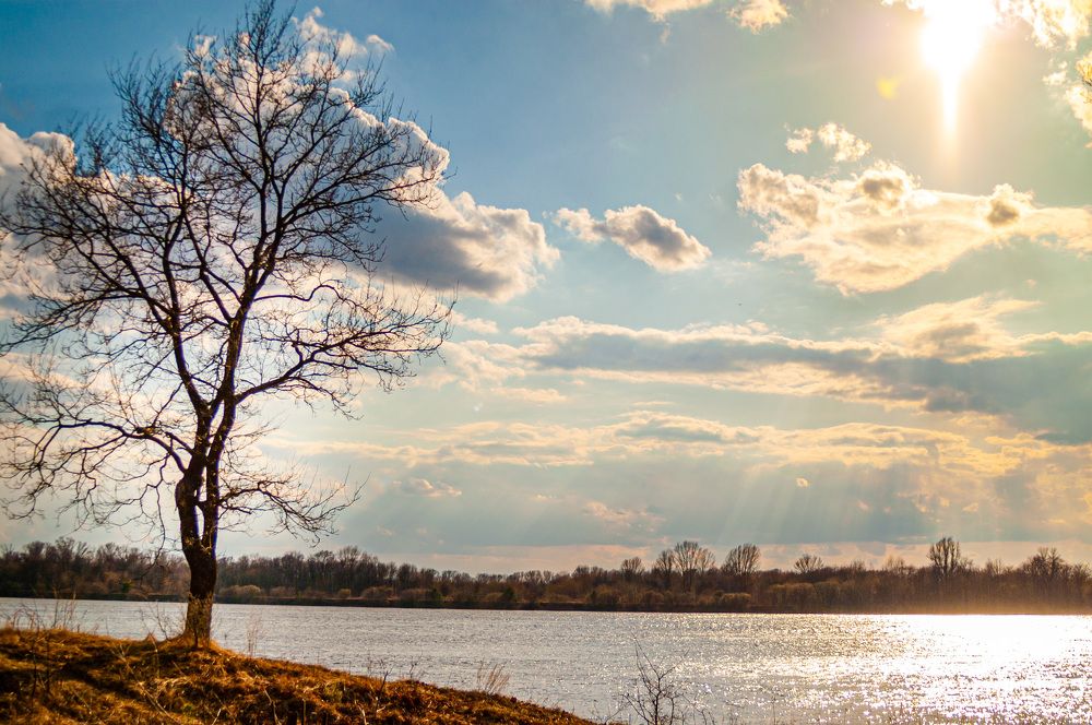 Photograph by Евгений Глазунов