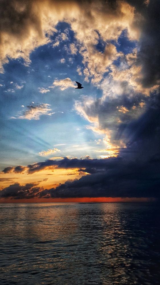 Photograph by Оксана Ходжаева