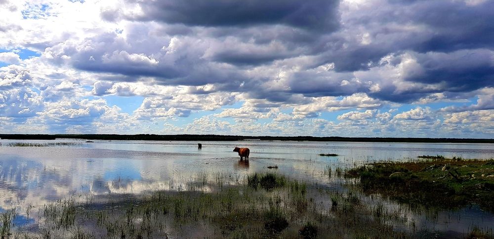 Заповедник в Латвии.