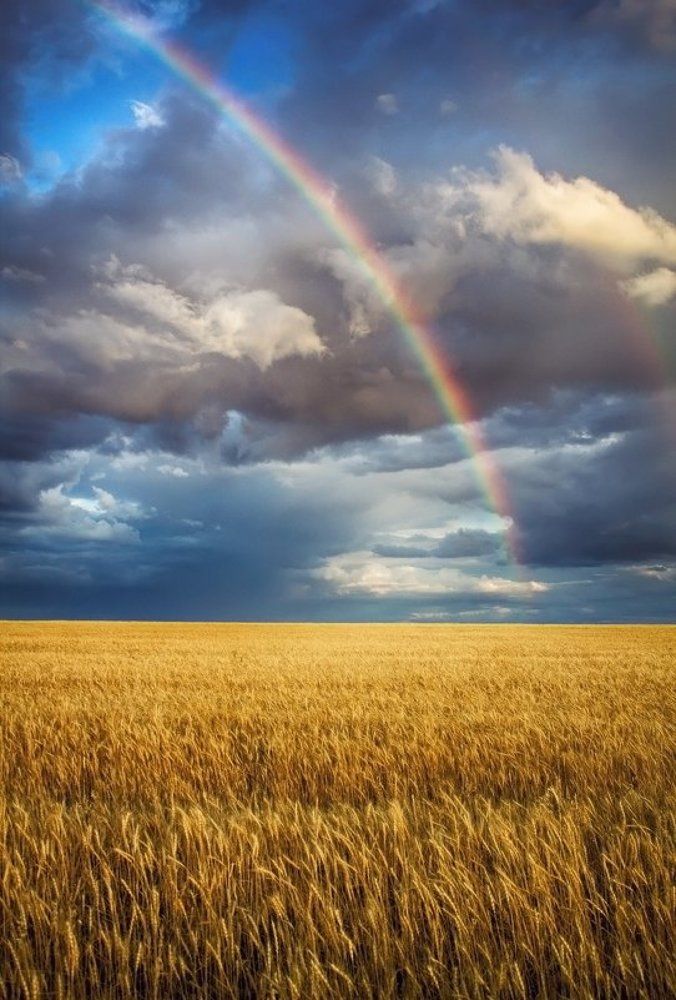 Photograph by Олег Белан