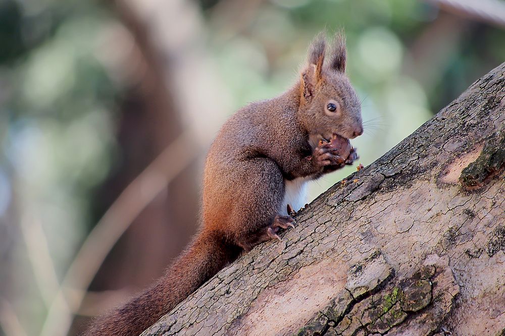 Photograph by Yana Marinova