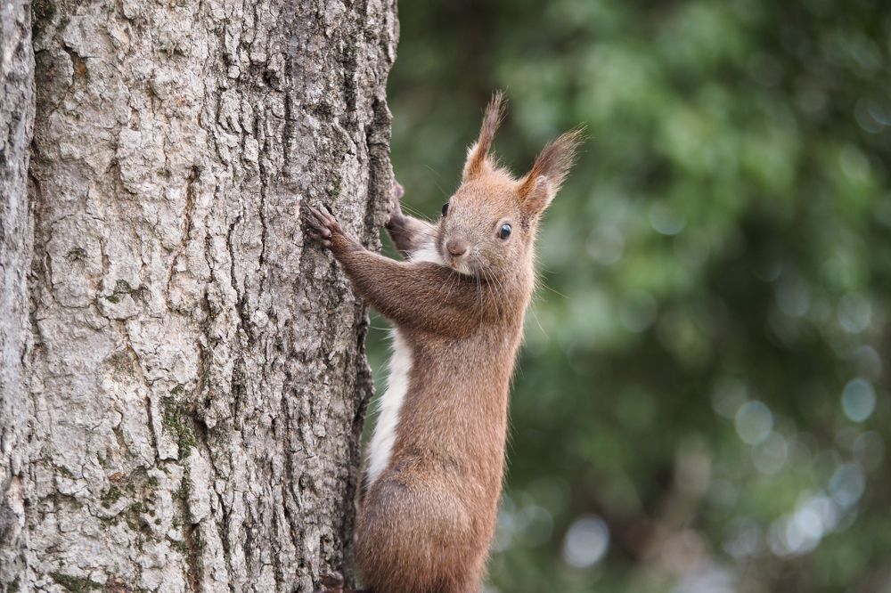 Photograph by Yana Marinova