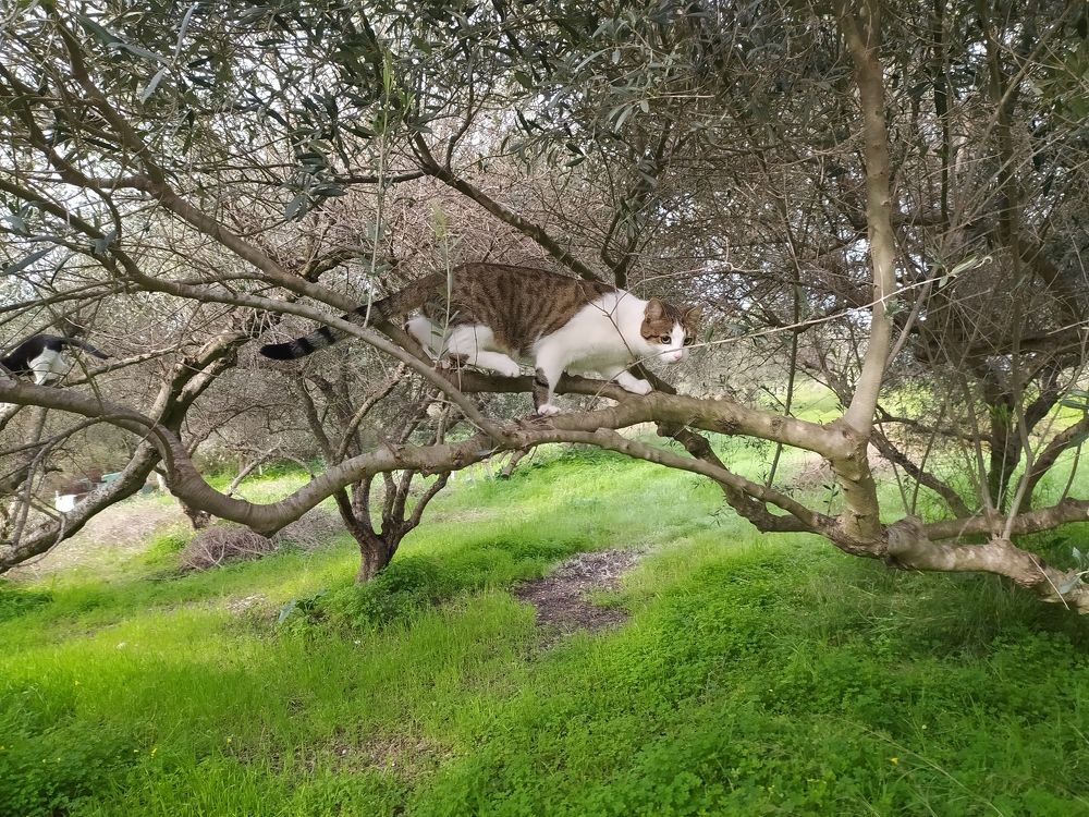 Photograph by GEORGIOS PATTAS